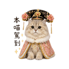 哈囉你好，我是奇米