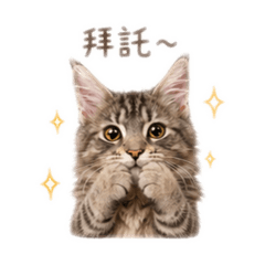 路納寶貝1