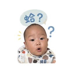 橙橙2號