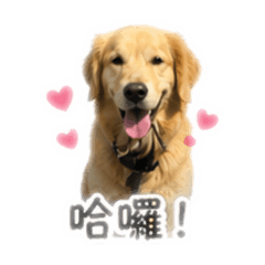 李嘎咪