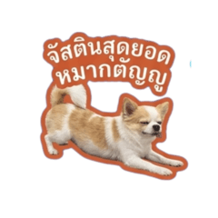 Justincooldog