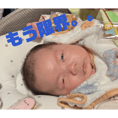 Hina_20260429042243