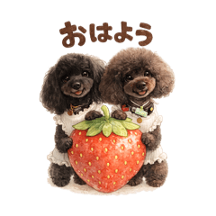 song june_20260429083128