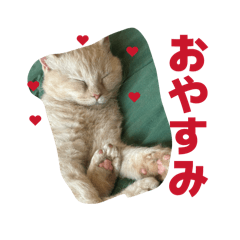 hiro1974_20260429082635