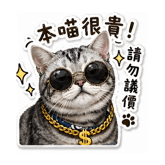 吉の日常4