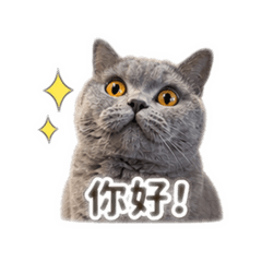 巧比同學來嘍！