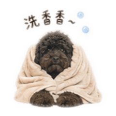 Lauraの日常碎念