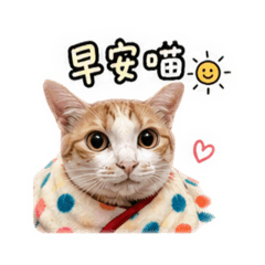 Oreo與Open 醬（珳家的貓）可愛版