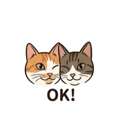 小猴&CC