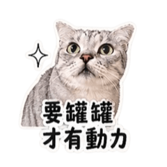 小胖上班厭世語錄
