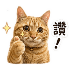 雞絲喵の表情包