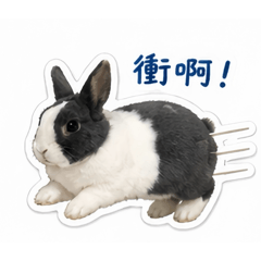 小肉子の日常療癒貼圖