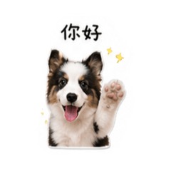 日常咘語