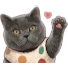 咪嚕的圓呼呼日常。點點裝