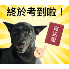 歐告乖乖 第二彈-不裝乖了