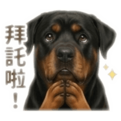 搞笑Boss （3