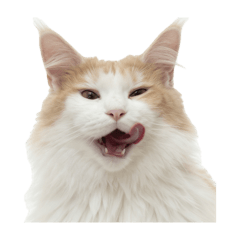 一萬日常（初代無印版）