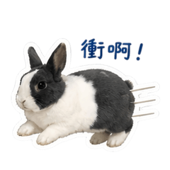 小肉子的日常療癒貼圖