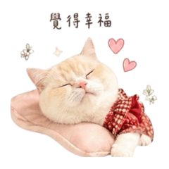 燒賣小椪友♡︎