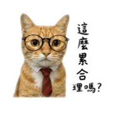 懶癌末期的社畜貓