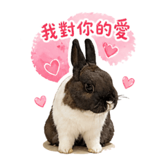 兔吉的土味情話