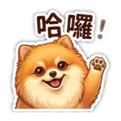 博美犬的日常生活1