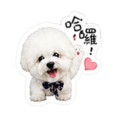 棉花糖比熊｜超可愛日常生活