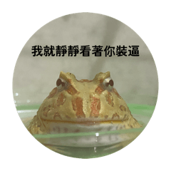 蛙咧貼圖第一彈！