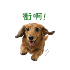 超級可愛餅乾姐