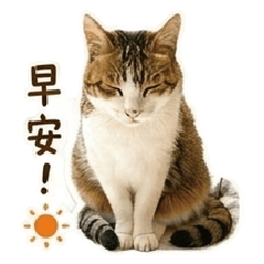 張王滷蛋蛋