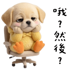 鴨不拉多