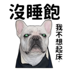 茶寶荳荳2