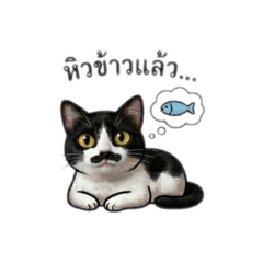 nongluknuad