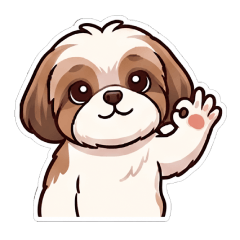 Busy Shih Poo