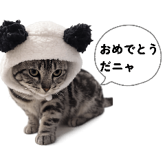 yuuteyan_20260429111016