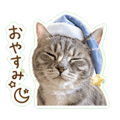 Nyachpiko_20260429111357