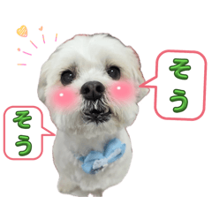 mamy_20260429110155