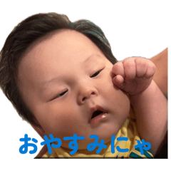 Nanako_20260429111927