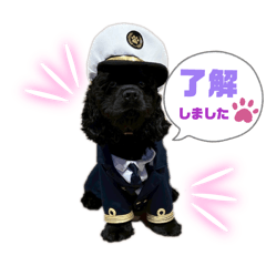 Kimu_20260429115407