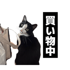 shiono-gumi_20260424203131