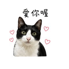 oero黑糖