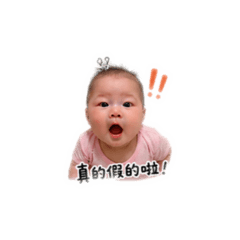 小屁豬的日常（生活篇）