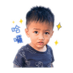 陳禾1
