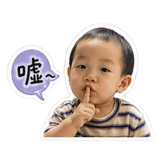 泡仔的生活日常