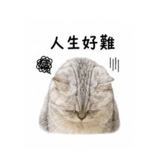 飯糰人生好難