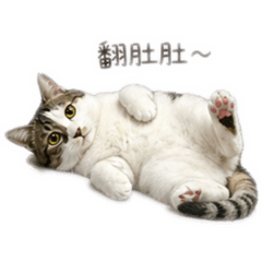紀哩咕
