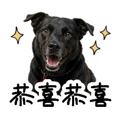 旺の日常