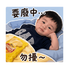 超好用小餅乾貼圖