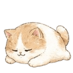我是胖圓