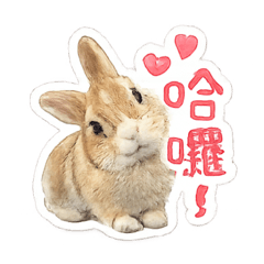 Q版畫風咖啡日常